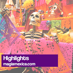 Dia de Muertos: Highlights - Magia Mexica