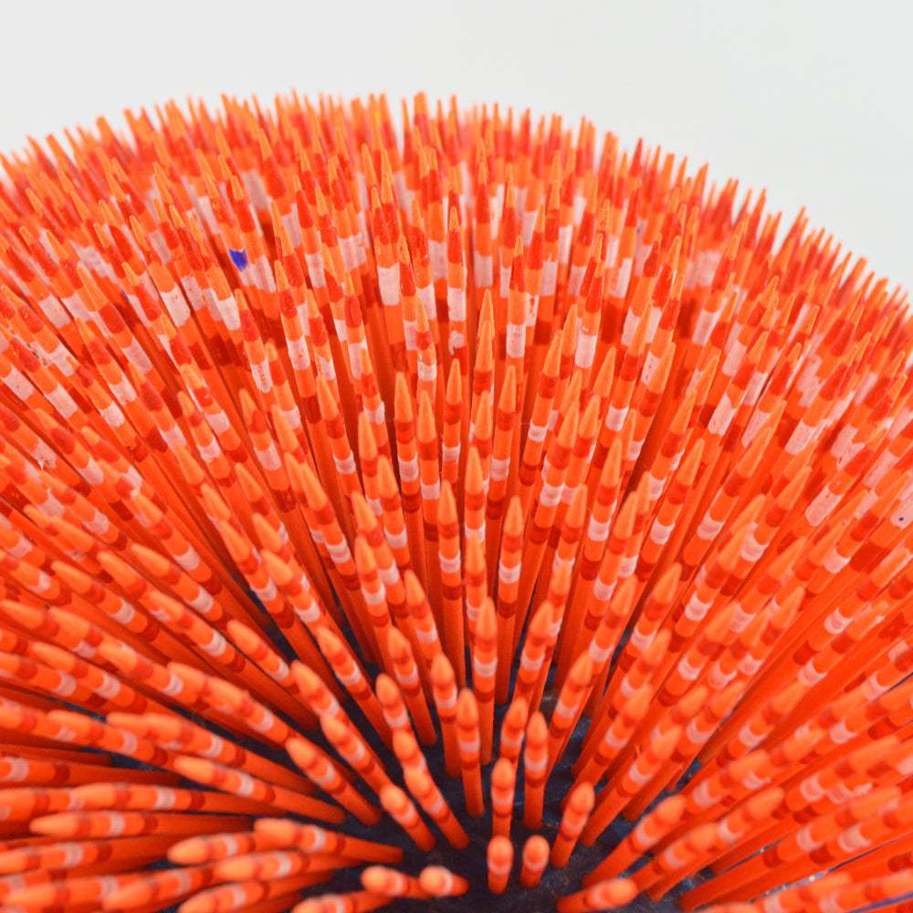 Alebrije Porcupine Oaxacan Wood Carving - magiamexica.com