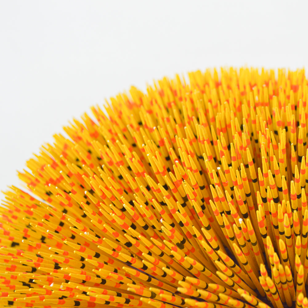 Alebrije Porcupine Oaxacan Wood Carving - magiamexica.com