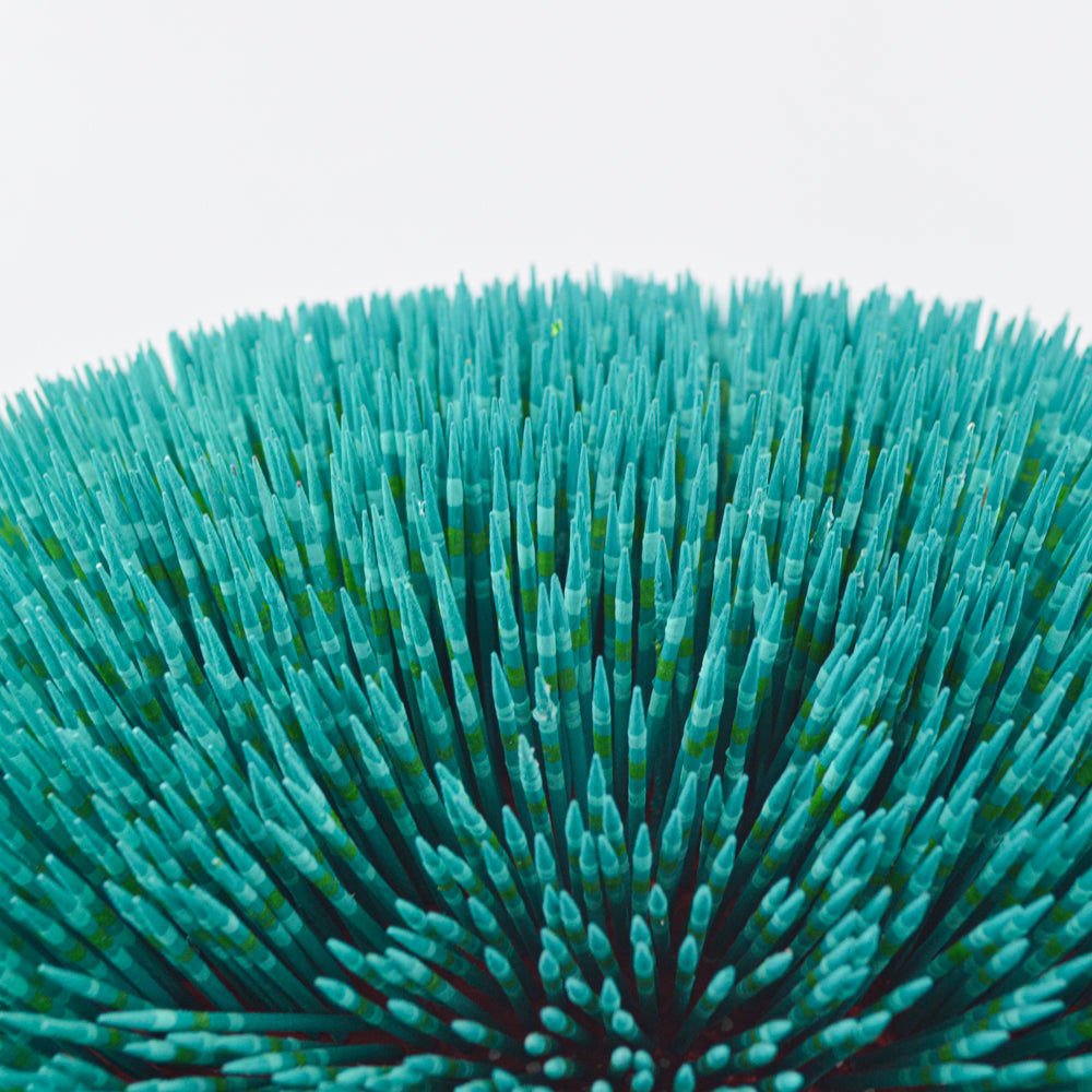 Alebrije Porcupine Oaxacan Wood Carving - magiamexica.com