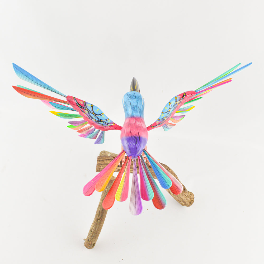 Alebrije Toucan Oaxacan Wood Carving - magiamexica.com