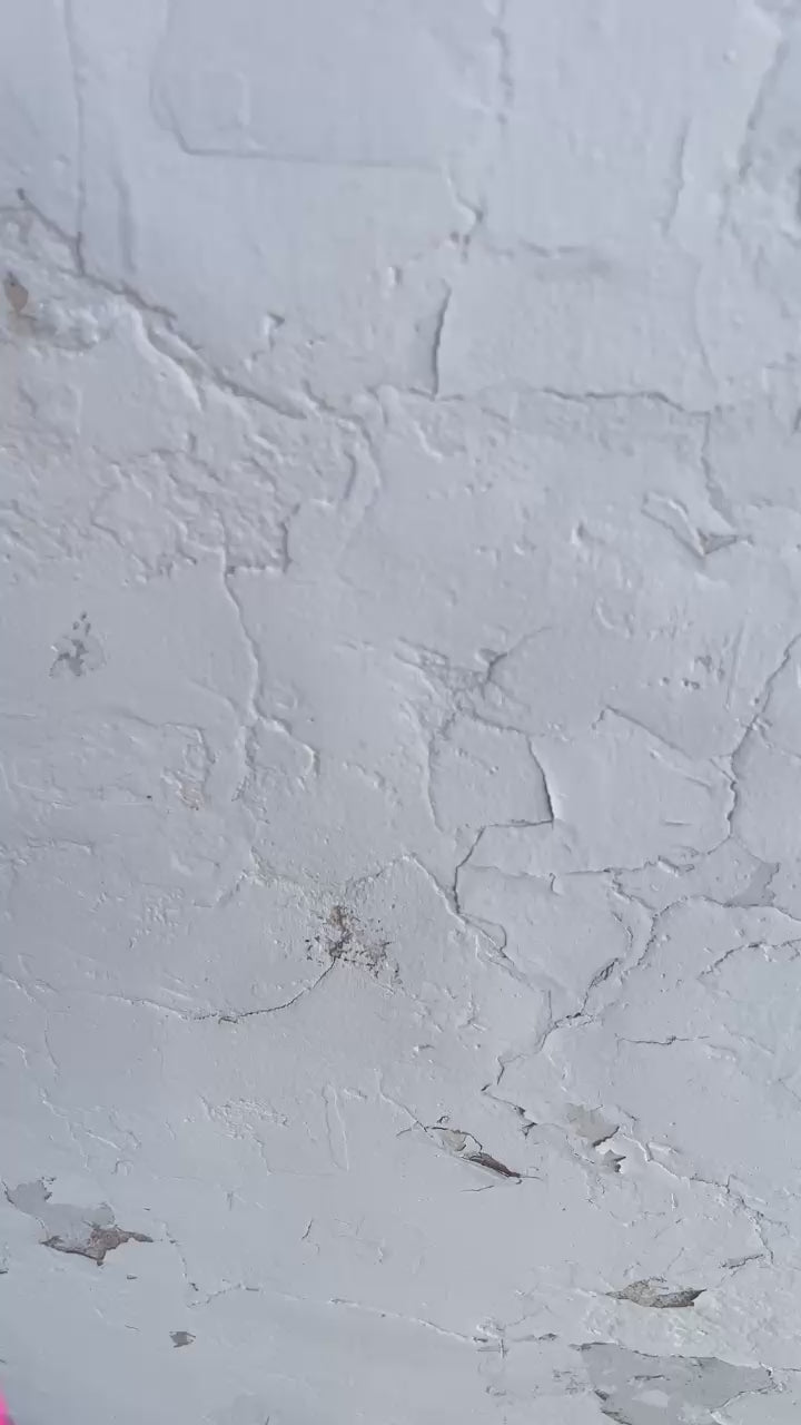 Catrina Alebrije Oaxacan Wood Carving