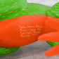 Alebrije Oaxacan Wood Carving Set Pepita and Dante - Magia Mexica