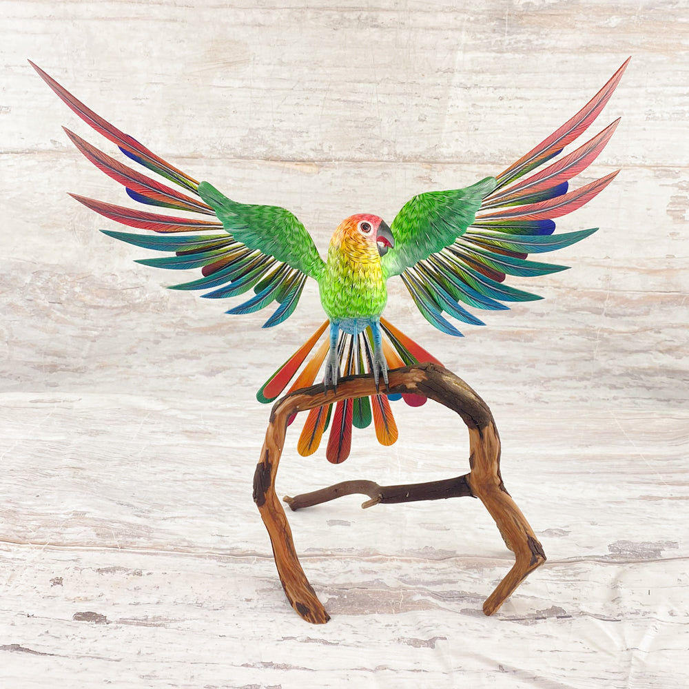 Parrot Alebrije Oaxacan Wood Carving - magiamexica.com