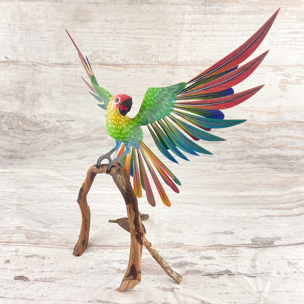 Parrot Alebrije Oaxacan Wood Carving - magiamexica.com