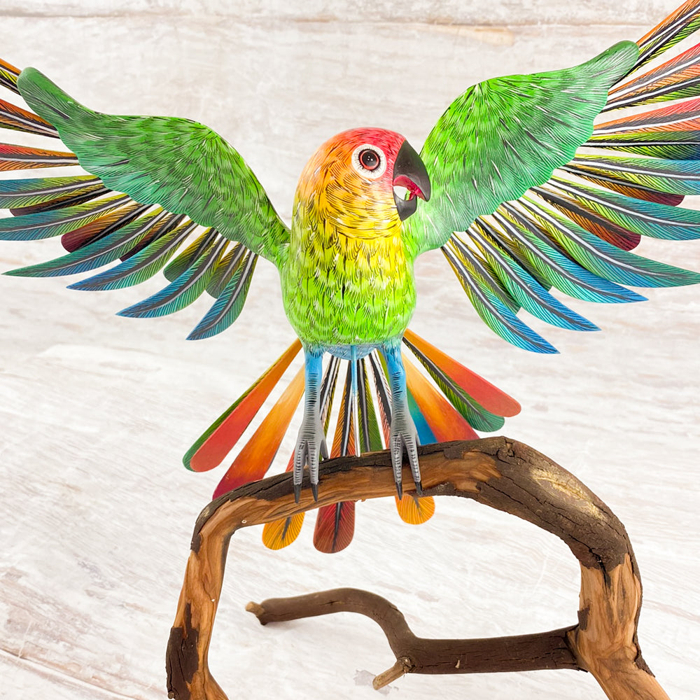 Parrot Alebrije Oaxacan Wood Carving - magiamexica.com